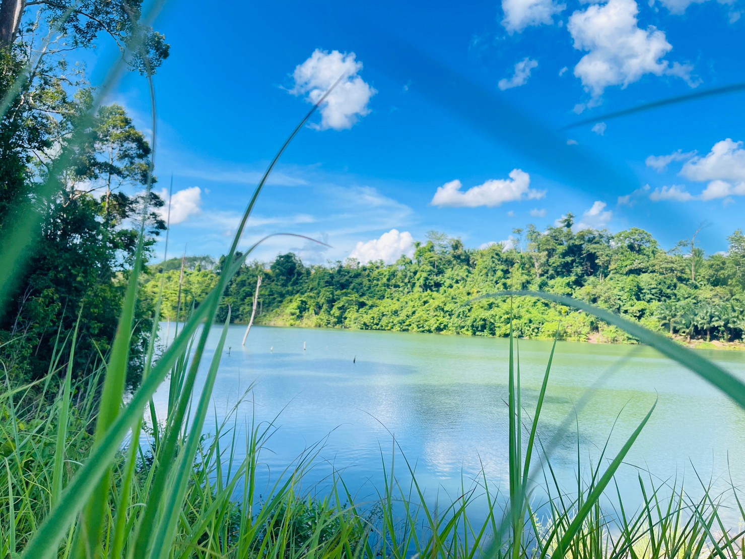 อ่างเก็บน้ำบ้านพรุเตย หมู่ที่4