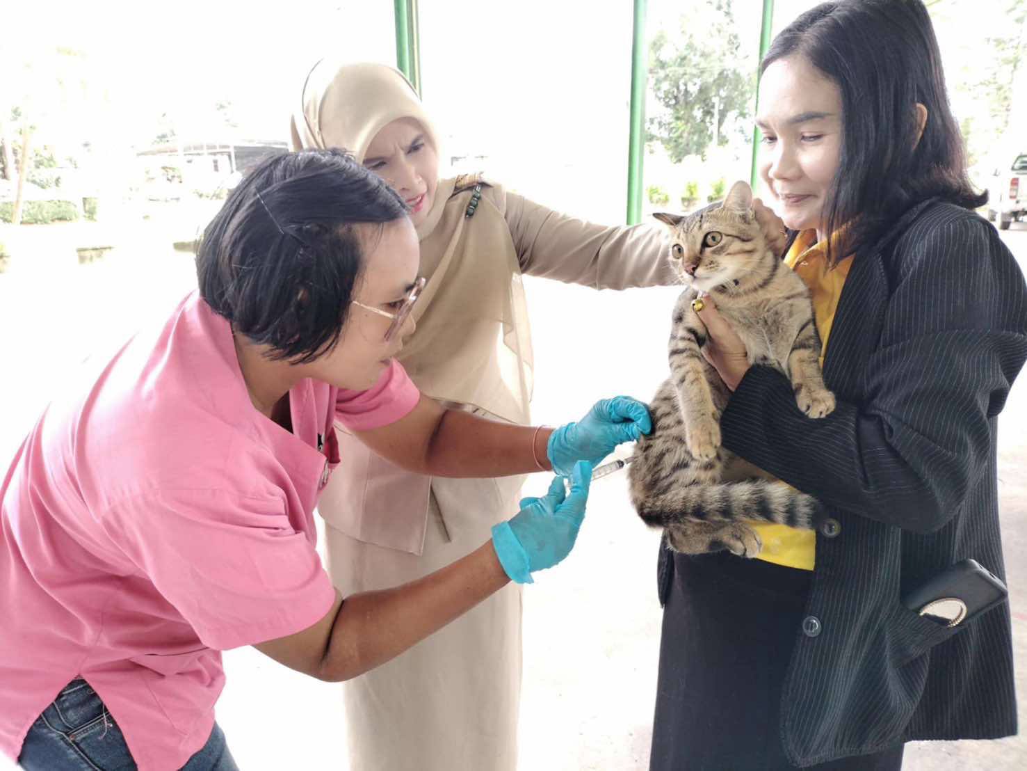 กิจกรรมลงพื้นที่ฉีดวัคซีนพิษสุนัขบ้าในโครงการลงพื้นที่สัตว์ปลอดโรค คนปลอดภัยจากโรค พิษสุนัขบ้าตามพระราชปณิธานศาสตราจารย์ ดร.สมเด็จเจ้าฟ้าฯ กรมพระศรีสวางควัฒน 
วร ขัตติยราชนารี