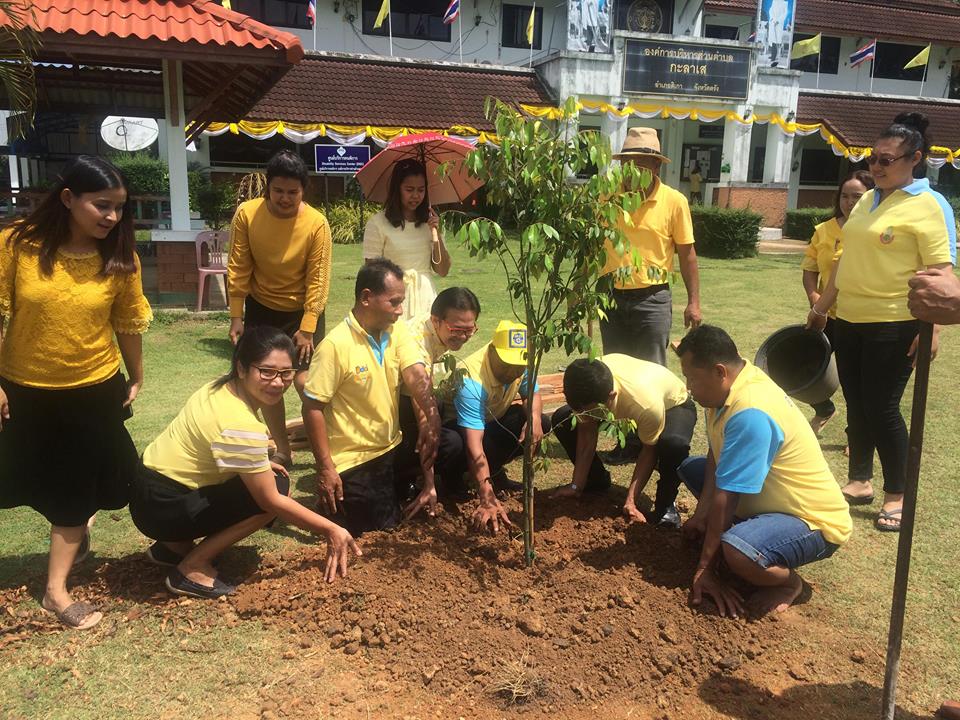 ภาพกิจกรรมการปลูกต้นไม้ประจำพระองค์ราชกาลที่ 10 ต้นรวงผึ้ง